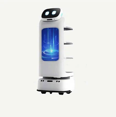 Kev Lag Luam Kev Lag Luam Robot
