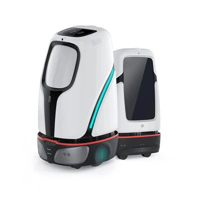 Delivery Robot Hotel